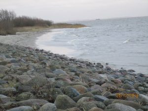 Brokdorf - Blick auf die Elbe