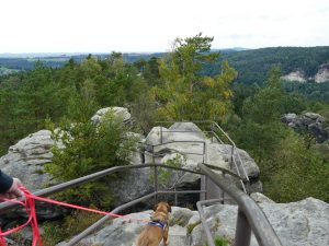 Ausblick Rauenstein